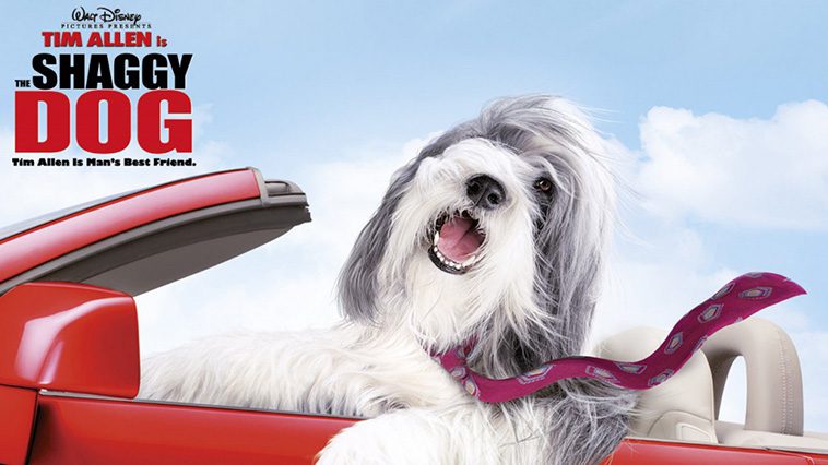 99 av de bästa hundfilmerna som ingen djurälskare bör missa: The Shaggy Dog (2006)