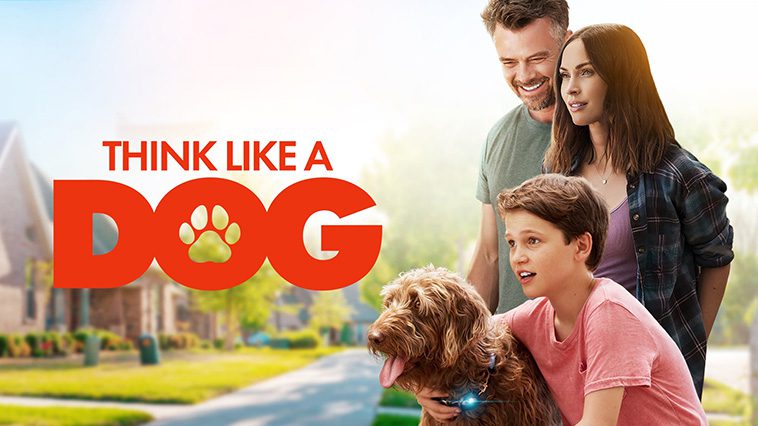 99 av de bästa hundfilmerna som ingen djurälskare bör missa: Think Like a Dog (2020)