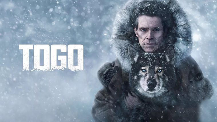 99 av de bästa hundfilmerna som ingen djurälskare bör missa: Togo (2019)