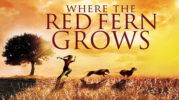99 av de bästa hundfilmerna som ingen djurälskare bör missa: Where the Red Fern Grows (1974)