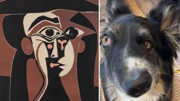Unika räddningshunden Brodie liknas vid en Picasso-målning – kändisarnas nya favorit på Instagram