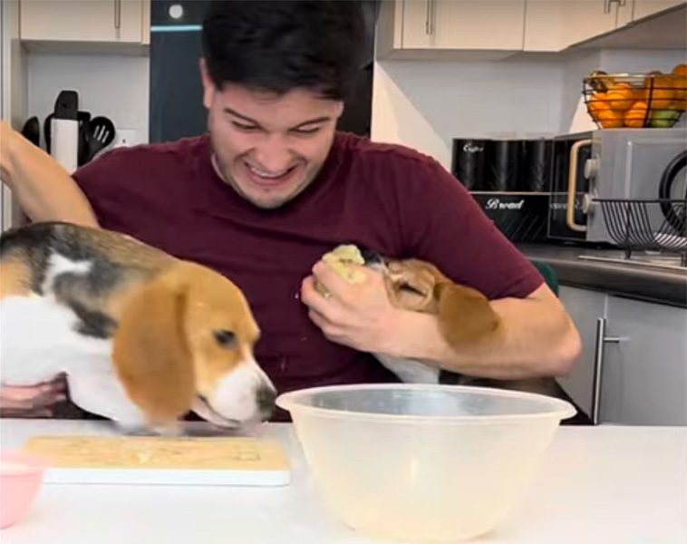Youtube-kanalen 