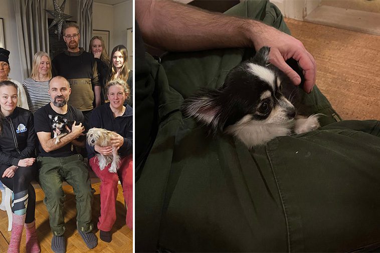 Chihuahua-hunden Elsa återfunnen efter åtta dagars dramatik i kylan