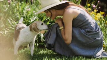 Meghan Markle och Prins Harry förkrossade efter sin hunds bortgång