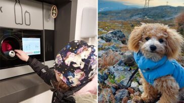Néa Persson, 9, pantade ihop till en egen hund