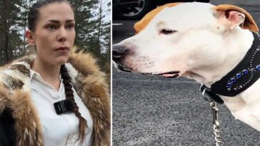 Alinas hund Mirko sköts ihjäl av polis i Uddevalla: Fyra skott och en begäran om rättvisa