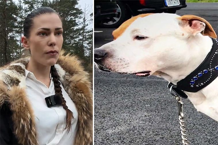 Alinas hund Mirko sköts ihjäl av polis i Uddevalla: Fyra skott och en begäran om rättvisa
