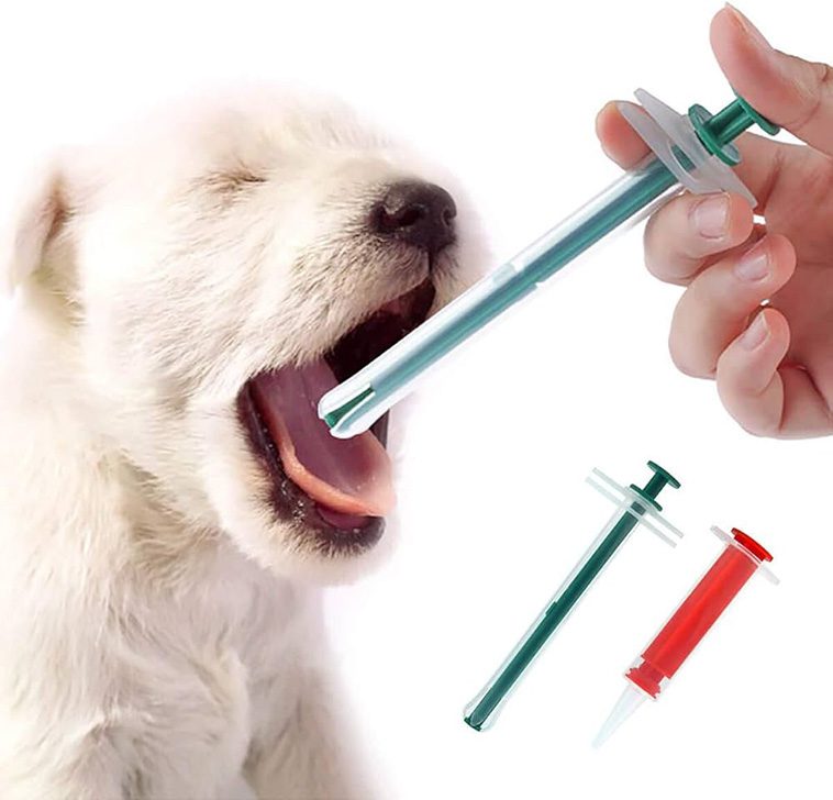 6 enkla steg att ge din hund piller – undvik stress och svårigheter