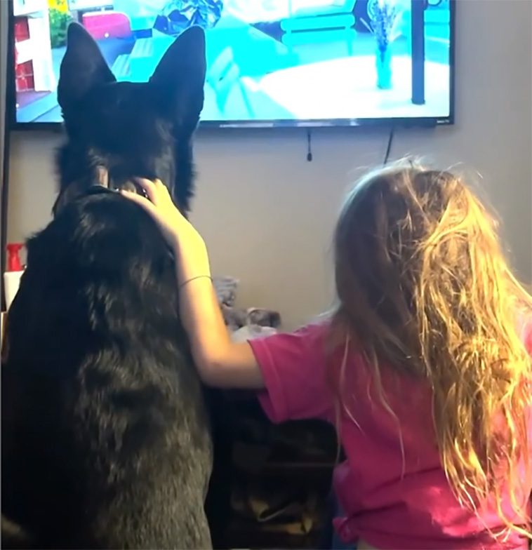 Hunden ser barnen i fara på TV – hans nästa drag får internet att smälta