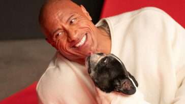 Dwayne "The Rock" Johnson i sorg efter Franska Bulldoggen Hobbs bortgång