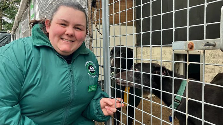 "Greyhound-racing kostade min hund sitt ben – därför stödjer jag förbudet"