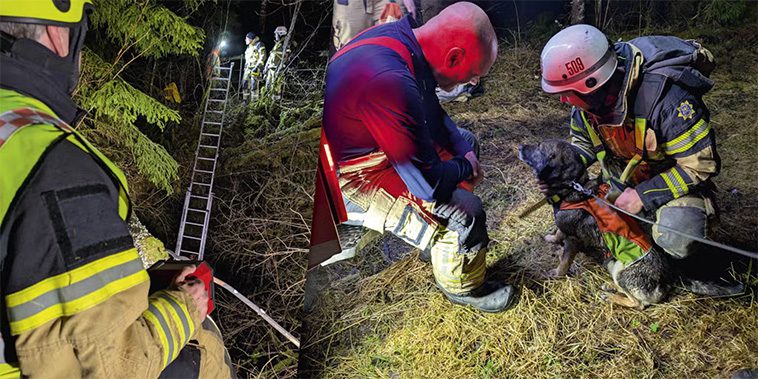 Dramatisk räddning av eftersökshund i gruva