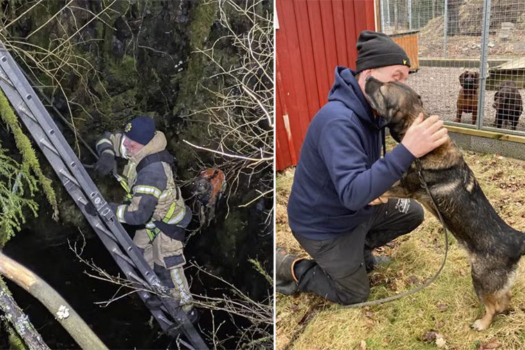 Dramatisk räddning av eftersökshund i gruva