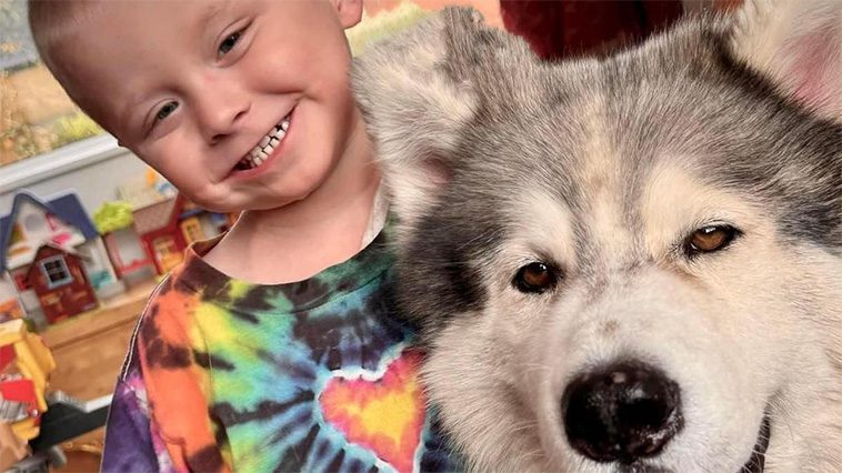 Terapihunden Thunder gjorde 3-åriga Elys sista månader något lättare