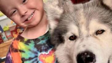 Terapihunden Thunder gjorde 3-åriga Elys sista månader något lättare