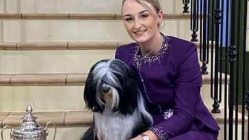 "Channel Island Dog of the Year" hade en fantastisk upplevelse på Crufts 2025