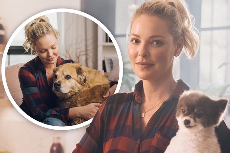 Grey’s Anatomy-stjärnan Katherine Heigl stäms av en hundräddningsorganisation