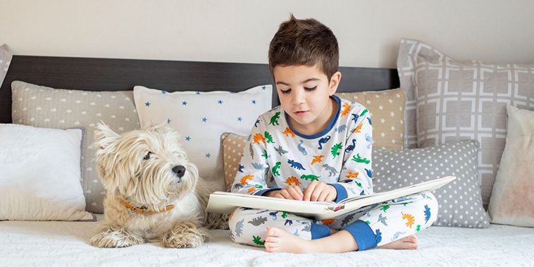 Hundtränare avslöjar: Superenkel metod som kan minska din hunds ångest