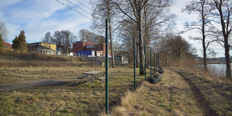 Hund tragiskt död efter attack – nu tar kommunen bort rastgården