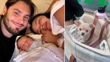 Därför har inte Oliver Ingrossos och Zoe Fay Browns hund Chewie setts till på länge