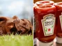 Därför ska du alltid ha tomatketchup hemma när du har hund