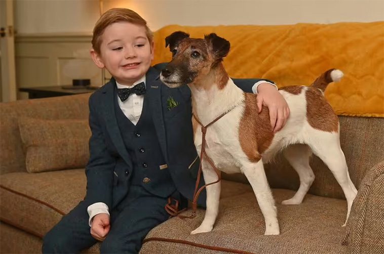 Sexåring skriver historia – yngsta tävlanden någonsin på Crufts