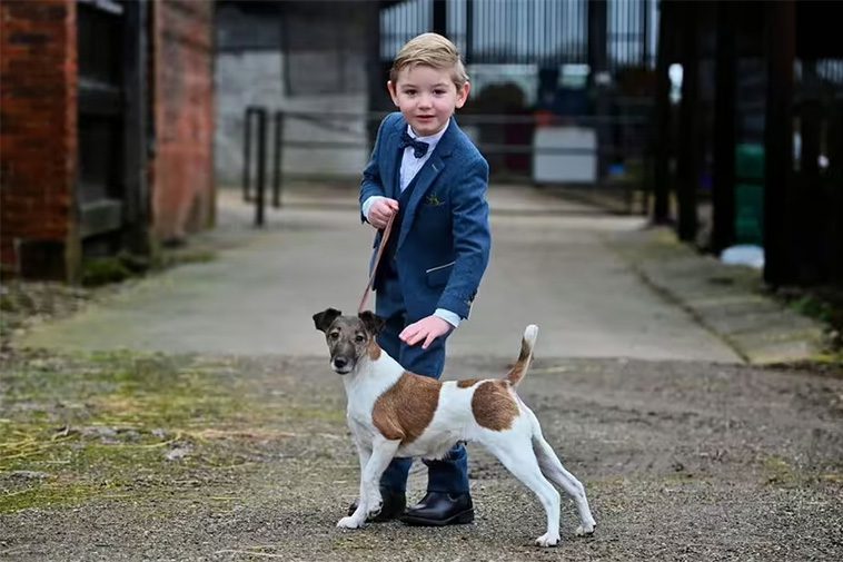 Sexåring skriver historia – yngsta tävlanden någonsin på Crufts
