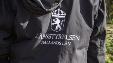 76 hundar levde i misär på svensk gård – myndigheterna slog larm