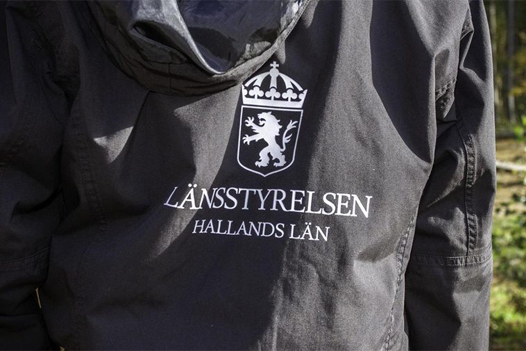 76 hundar levde i misär på svensk gård – myndigheterna slog larm