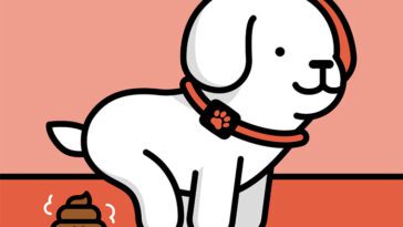 "Hundpung från golv till tak" – Flashback-användaren som nobbar alla män med hund