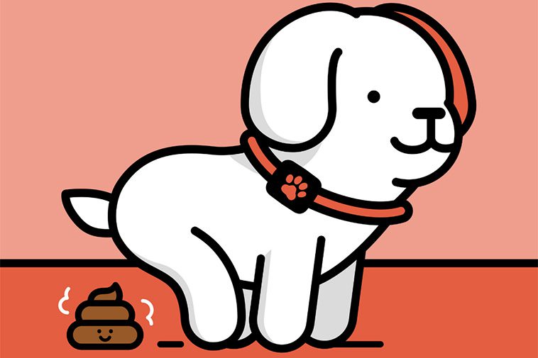 "Hundpung från golv till tak" – Flashback-användaren som nobbar alla män med hund