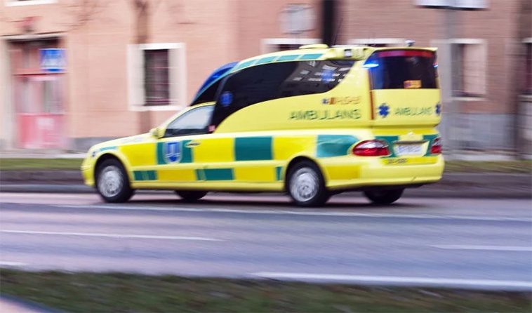 Barn överfölls av stor hund – vårdas på sjukhus efter attacken
