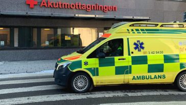 Pojke förd till sjukhus efter hundbett i huvudet – polisen ser det som en olycka