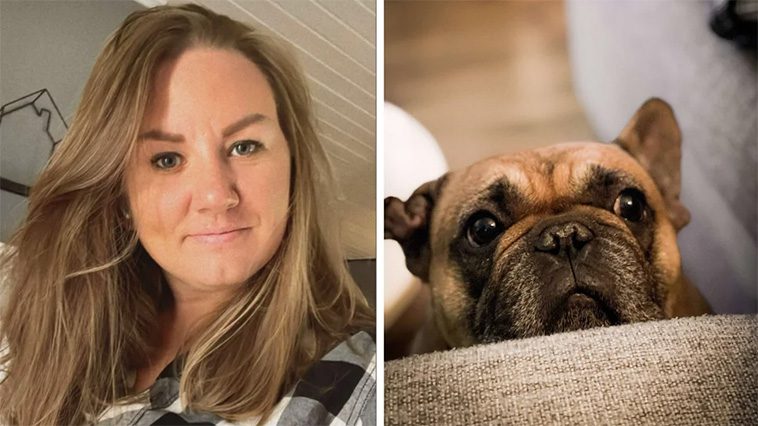 Fransk Bulldog nära döden – smittades av parasit från mördarsnigel