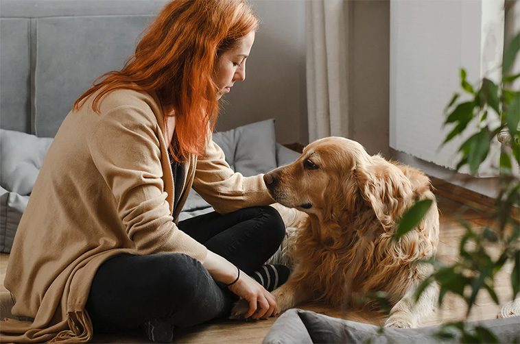 Kolla om din hund har hälsosam vikt på bara 30 sekunder – utan att använda våg