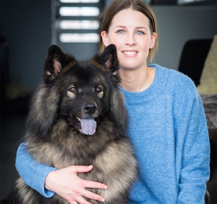 Ny satsning från Hundstallet: Skolprojekt ska ge barn bättre förståelse för hundar