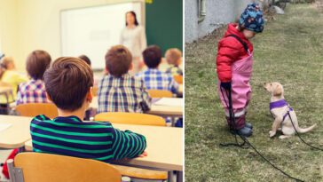 Ny satsning från Hundstallet: Skolprojekt ska ge barn bättre förståelse för hundar