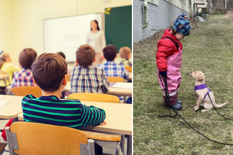 Ny satsning från Hundstallet: Skolprojekt ska ge barn bättre förståelse för hundar