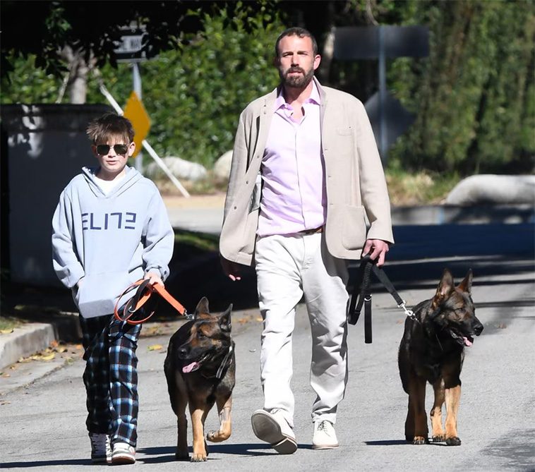 Hollywoods hemliga favorit – kändiselitens kärlek till Tysk Schäferhund i unika bilder