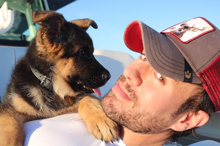 Hollywoods hemliga favorit – kändiselitens kärlek till Tysk Schäferhund i unika bilder