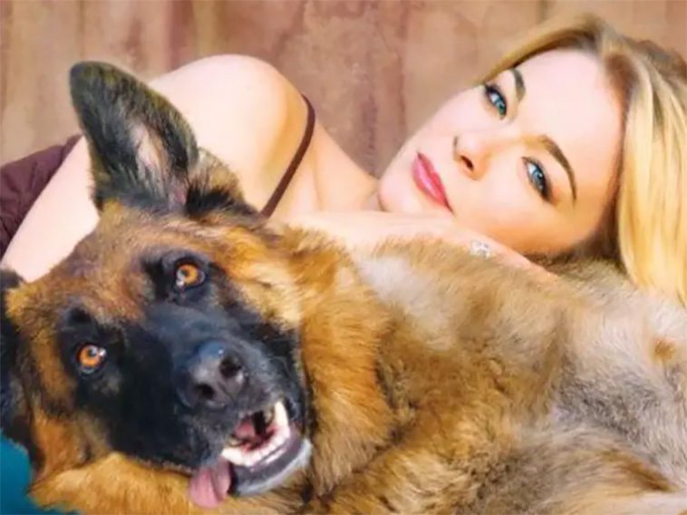Hollywoods hemliga favorit – kändiselitens kärlek till Tysk Schäferhund i unika bilder