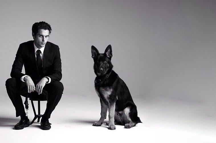 Hollywoods hemliga favorit – kändiselitens kärlek till Tysk Schäferhund i unika bilder