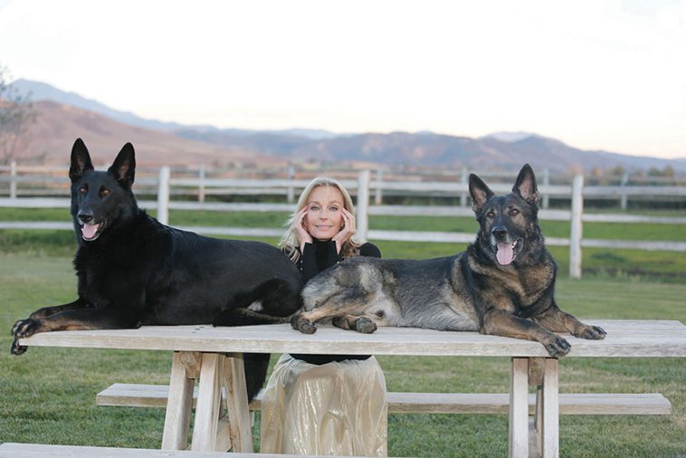 Hollywoods hemliga favorit – kändiselitens kärlek till Tysk Schäferhund i unika bilder