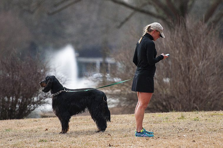 Hundexperten: Därför gör många hundägare samma vanliga misstag under promenaderna