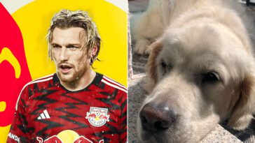 Fotbollsproffset Emil Forsbergs hjärtekross – har förlorat sin älskade hund Roffe