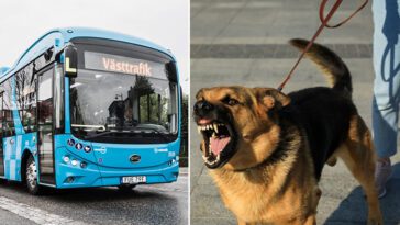 Hundägare misstänks ha hotat busschaufför – använde sin hund som skrämselmedel