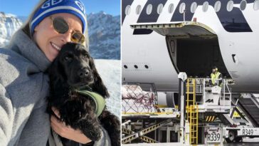 Finnair tappade bort Ennis hund: "Jag trodde aldrig jag skulle få se honom igen"