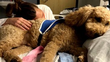 Historisk förlossning på Karolinska – Jenny först att föda med hundstöd
