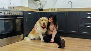 Därför lyder din hund i köket men ignorerar dig ute – och så kan du ändra på det