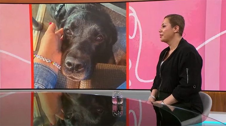 Hunden räddade livet på Ursula – upptäckte sällsynt bröstcancer i tid